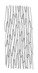 Ischyrodon lepturus, mid laminal cells. Drawn from B.H. Macmillan 71/279, CHR 163468.
 Image: R.C. Wagstaff © Landcare Research 2014 